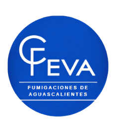 FEVA