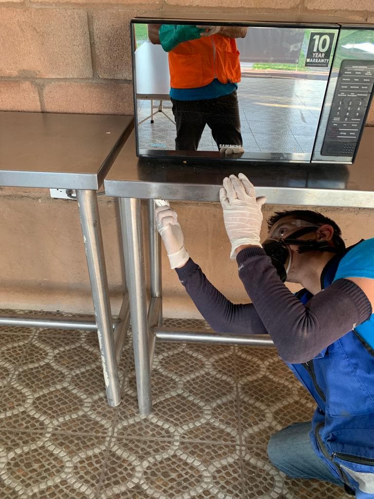 Trabado de fumigación 2