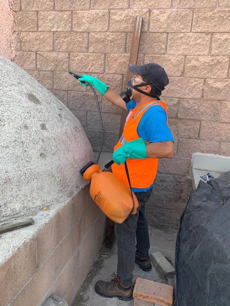 Trabado de fumigación 3